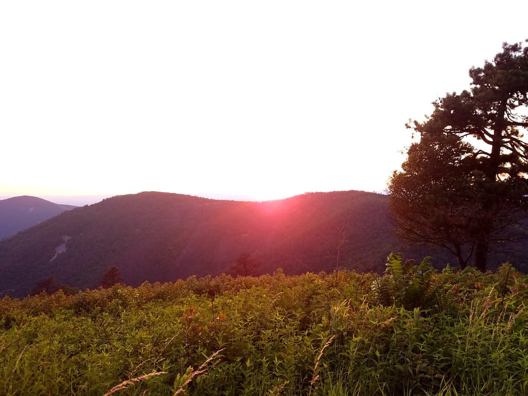 Top 10 Best Places for Fall Foliage in Virginia: Stunning Leaf-Peeping Spots