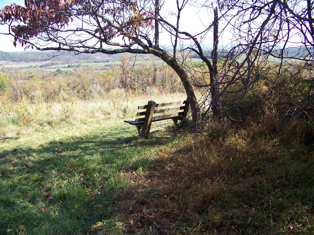 Top 10 Best Places for Fall Foliage in Virginia: Stunning Leaf-Peeping Spots