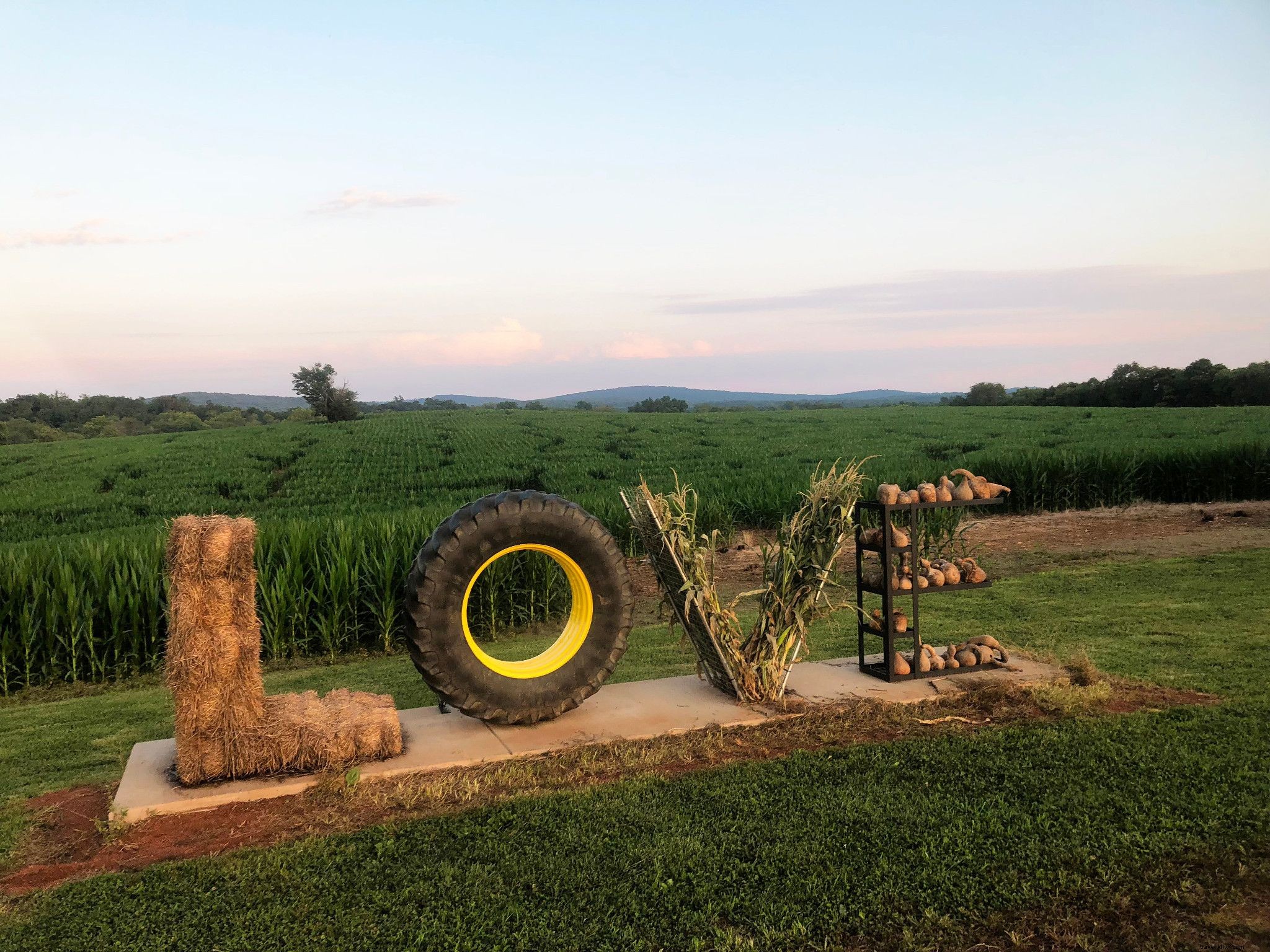 Virginia’s Top 20+ Corn Mazes and Pumpkin Patches for Unforgettable Fall Family Fun