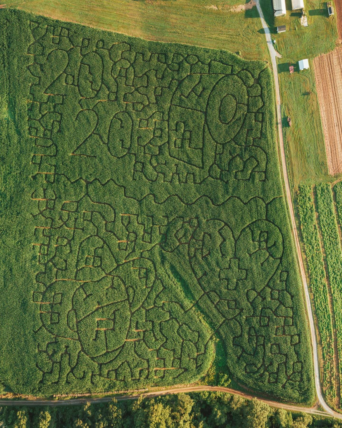 Virginia’s Top 20+ Corn Mazes and Pumpkin Patches for Unforgettable Fall Family Fun
