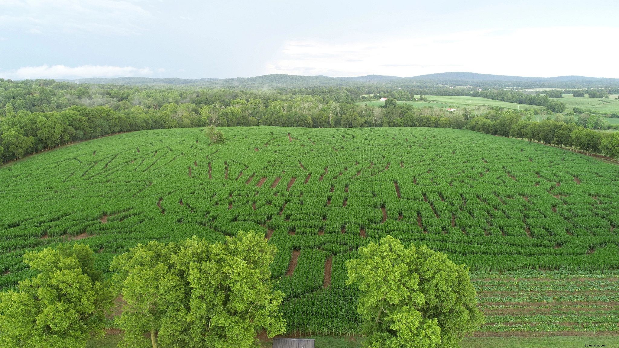 Virginia’s Top 20+ Corn Mazes and Pumpkin Patches for Unforgettable Fall Family Fun