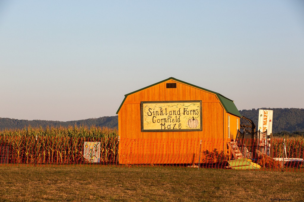Virginia’s Top 20+ Corn Mazes and Pumpkin Patches for Unforgettable Fall Family Fun