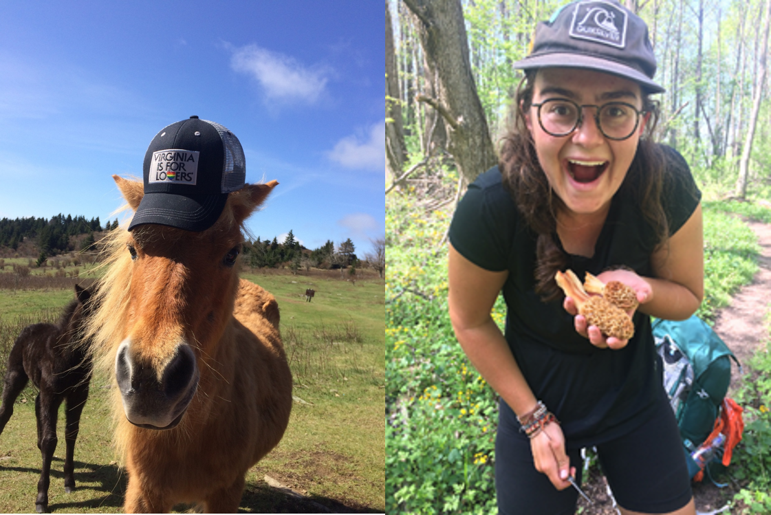 Thru-Hiking Virginia s Appalachian Trail: Insider Tips from Seasoned Hikers