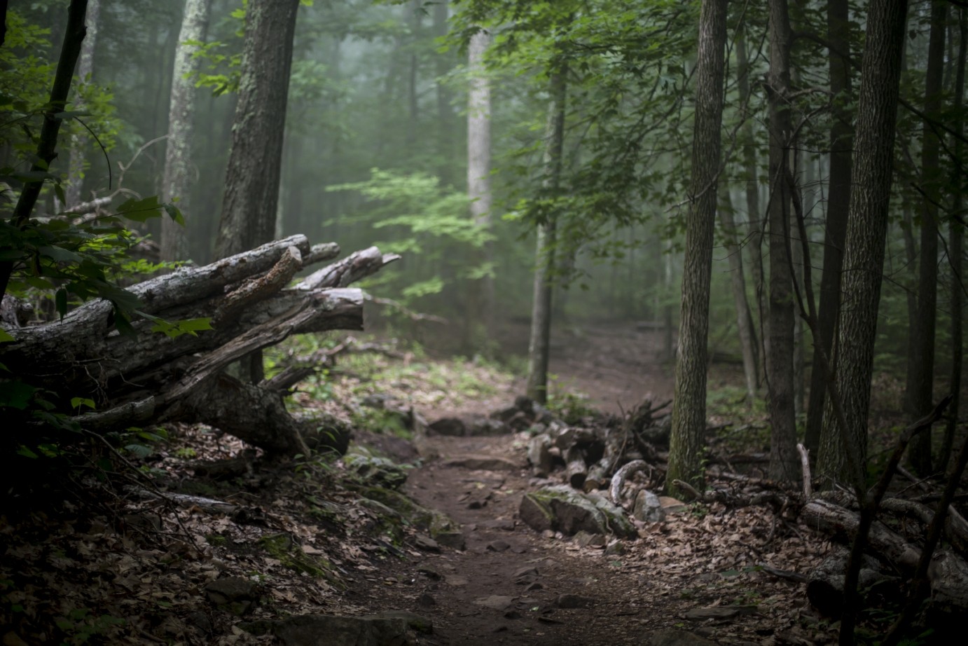 5 Iconic Historic Walking Tours in Virginia: Explore 400 Years of History