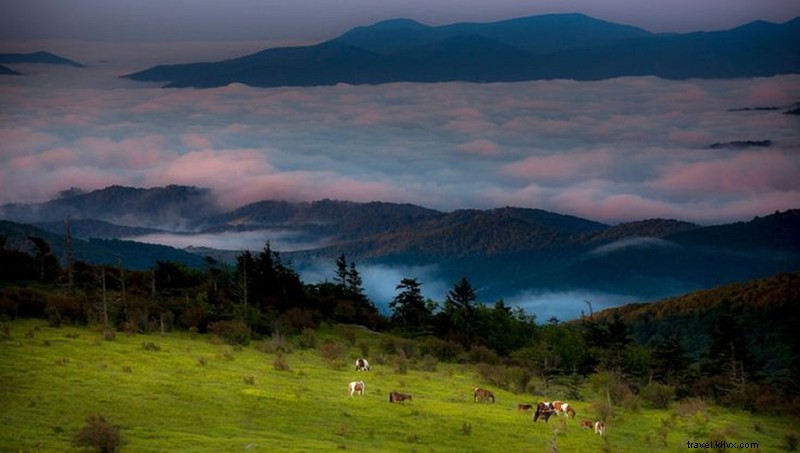 Ultimate Guide to Outdoor Adventures in Far Southwest Virginia: Hiking, Biking, Paddling & More