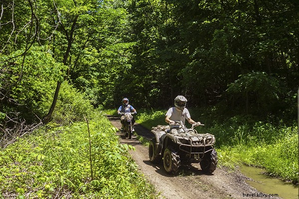 Ultimate Guide to Outdoor Adventures in Far Southwest Virginia: Hiking, Biking, Paddling & More