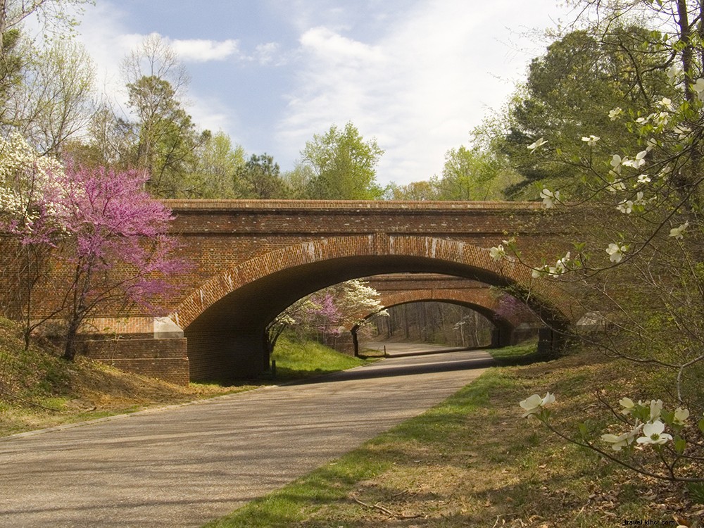 Explore Virginia s Premier Road Cycling Routes: Scenic, Historic, and Challenging Trails