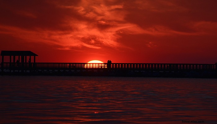 Virginia s Premier Guided Paddling and Biking Adventures