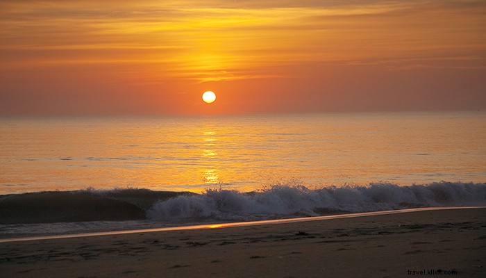 Virginia s Premier Guided Paddling and Biking Adventures