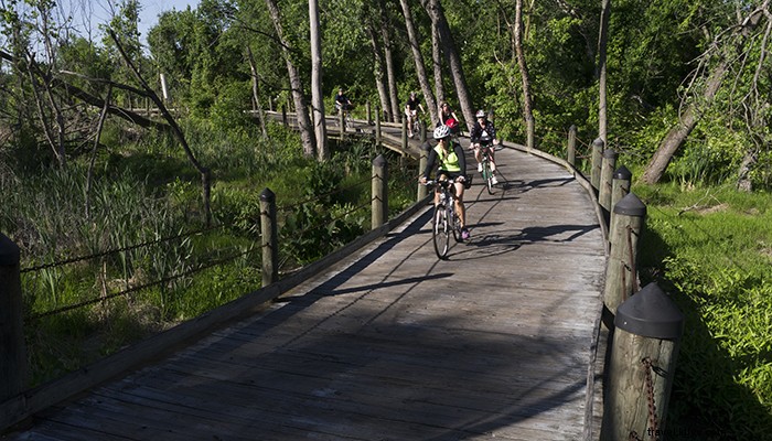 Virginia s Premier Guided Paddling and Biking Adventures