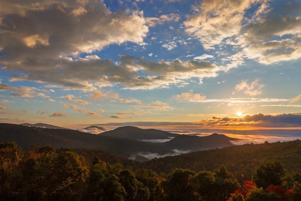 Virginia s Premier Guided Paddling and Biking Adventures