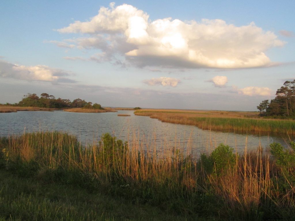 Discover 10 Premier Coastal Paddling Destinations in Virginia