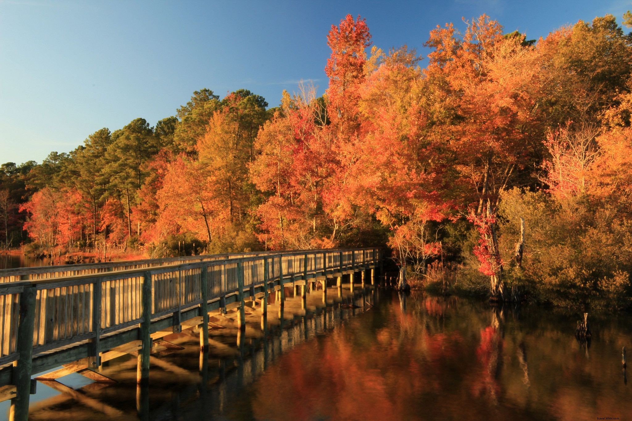 10 Best Family-Friendly Bike Trails in Virginia: Scenic Rides for All Ages