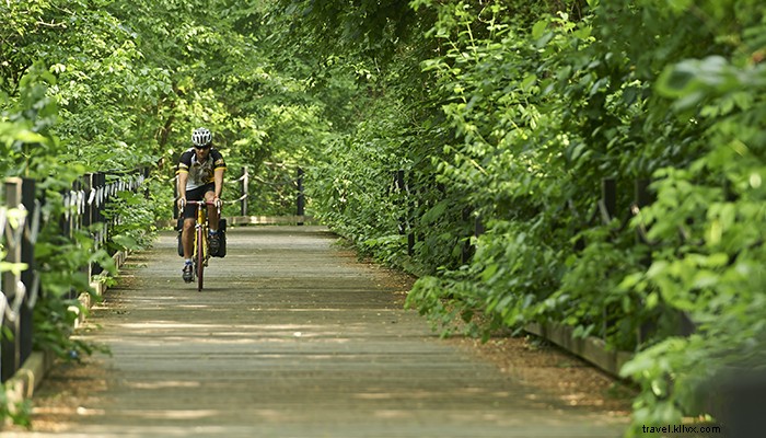 10 Best Family-Friendly Bike Trails in Virginia: Scenic Rides for All Ages