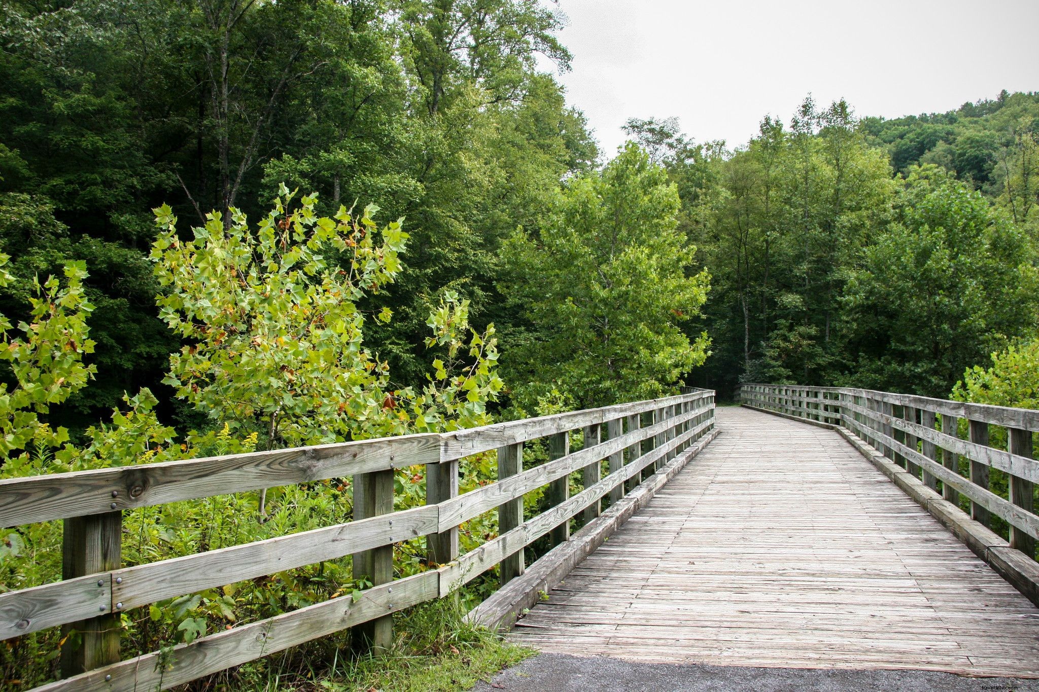 10 Best Family-Friendly Bike Trails in Virginia: Scenic Rides for All Ages