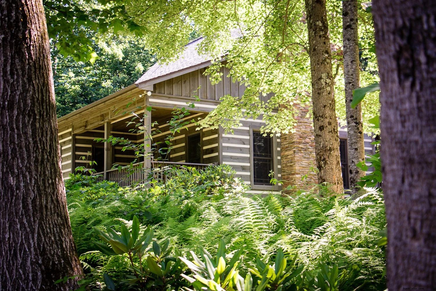 13 Premier Mountain Cabin Rentals in Virginia for Your Summer Escape
