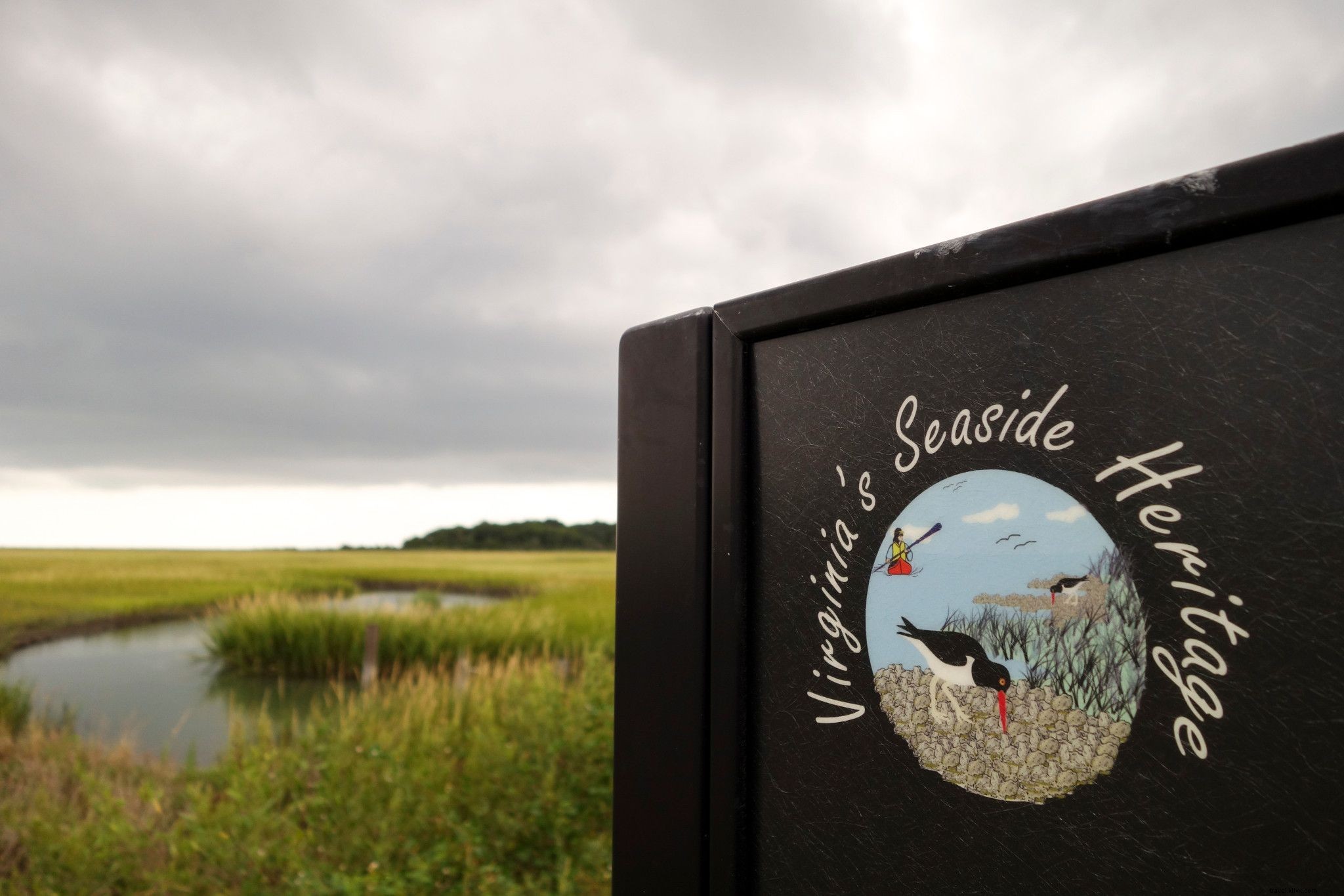 20 Premier Flatwater Paddling Destinations in Virginia