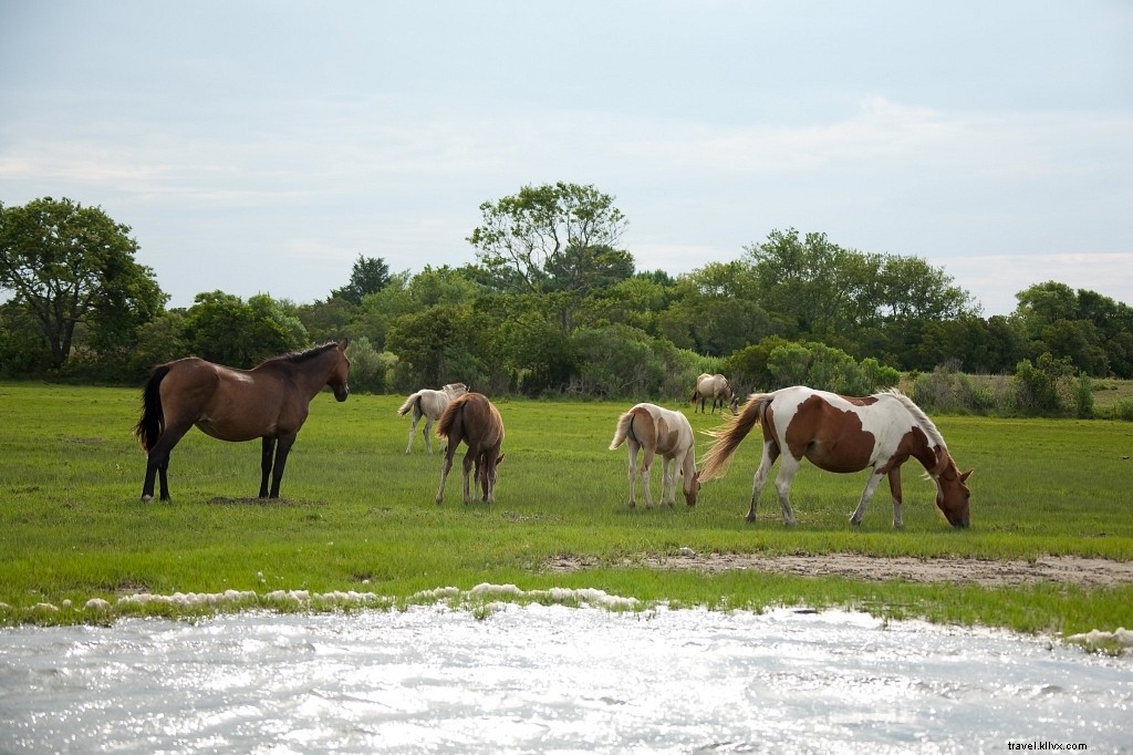 20 Premier Flatwater Paddling Destinations in Virginia