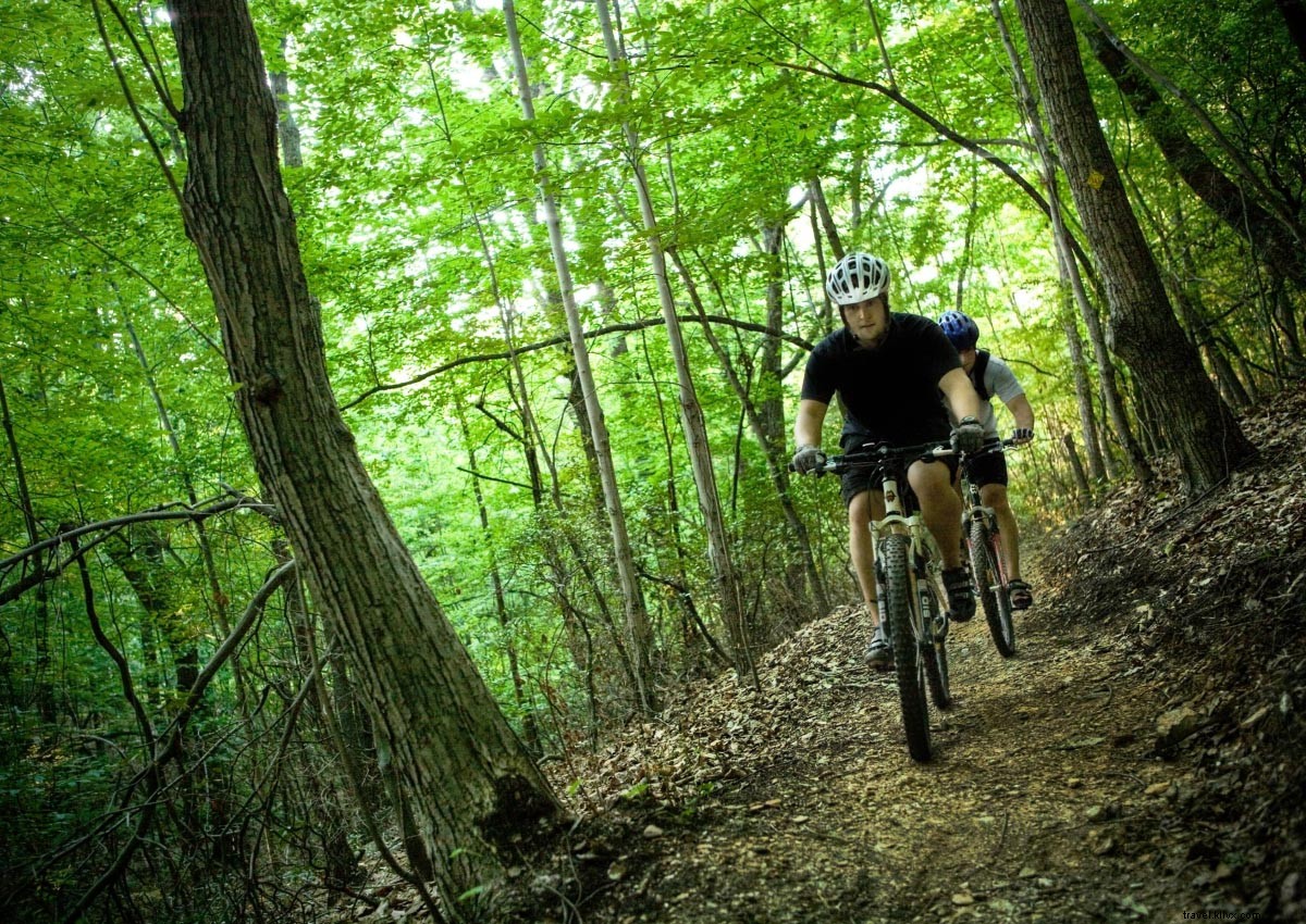 Best Mountain Biking Trails in Virginia: Top Destinations for Every Rider