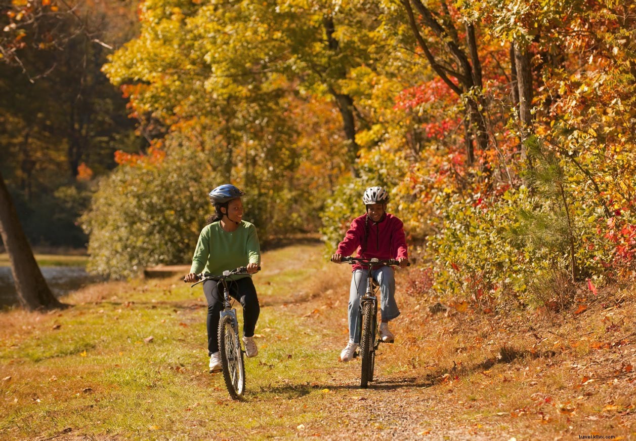 Best Mountain Biking Trails in Virginia: Top Destinations for Every Rider