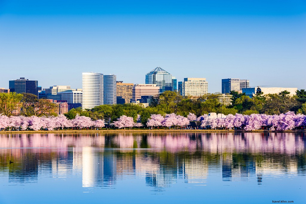 Best Places to See Cherry Blossoms in Virginia: Gardens, Tours, and Events