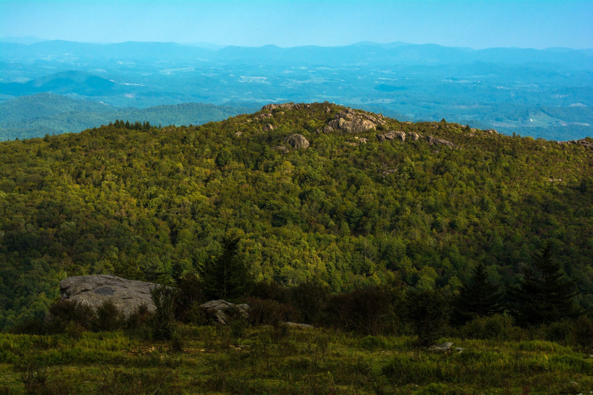 20 Breathtaking Virginia Locations for an Unforgettable Marriage Proposal