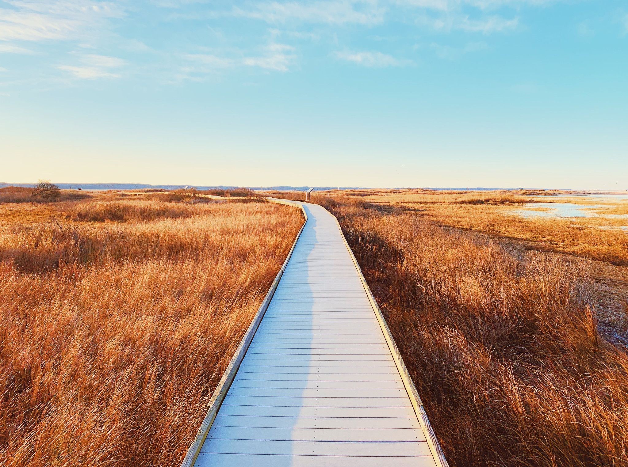 Free Entrance Days at Virginia s National Parks in 2021: Your Guide to Seven Must-Visit Sites