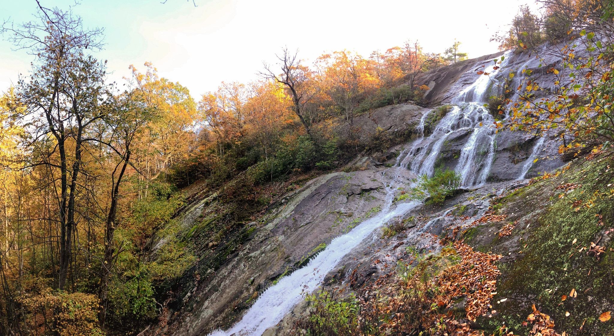 Top 15 Winter Hikes in Virginia: Stunning Trails with Fewer Crowds