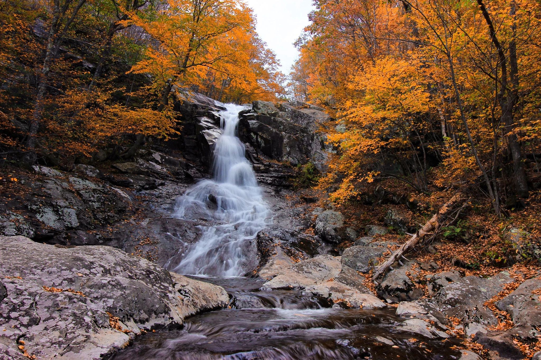 Top 15 Winter Hikes in Virginia: Stunning Trails with Fewer Crowds