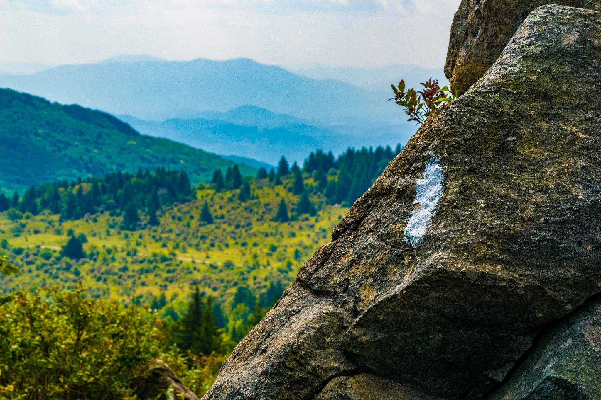 10 Epic Backpacking Trips in Virginia: Unforgettable Trails for Adventure Seekers