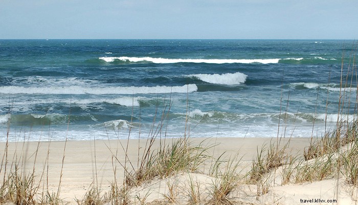 10 Epic Backpacking Trips in Virginia: Unforgettable Trails for Adventure Seekers