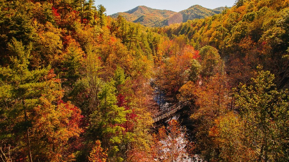 Discover Virginia s Hidden Outdoor Gems: 7 Small Towns With Big Adventures