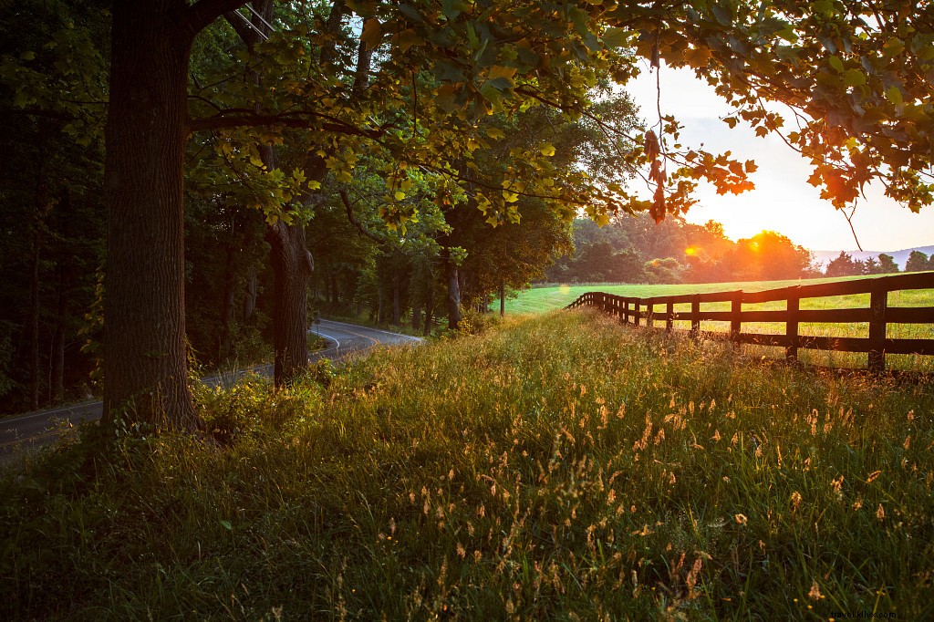 Top 5 Virginia Scenic Byways You Must Explore