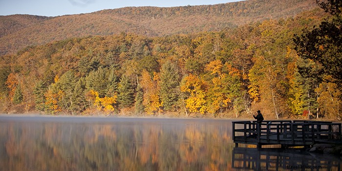 Top 10 Fall Camping Destinations in Virginia: Peak Foliage Adventures