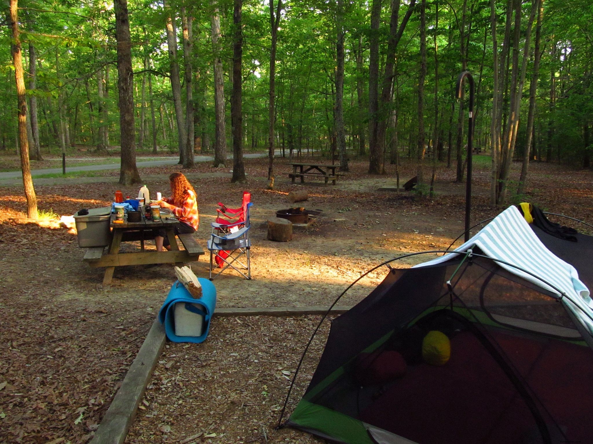 Top 10 Fall Camping Destinations in Virginia: Peak Foliage Adventures