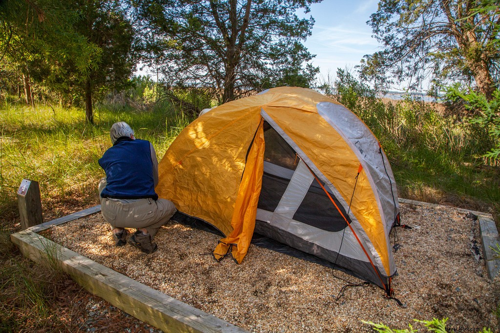 Top 10 Fall Camping Destinations in Virginia: Peak Foliage Adventures