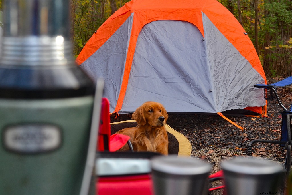 Top 10 Fall Camping Destinations in Virginia: Peak Foliage Adventures