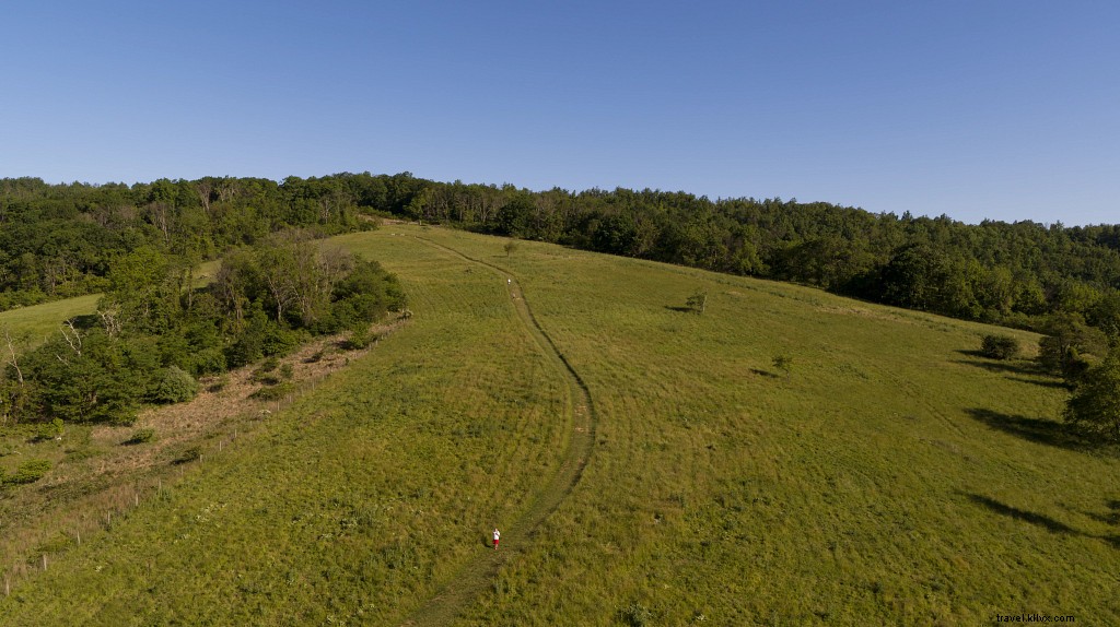 10 Scenic Hikes Paired with Virginia s Top Wineries