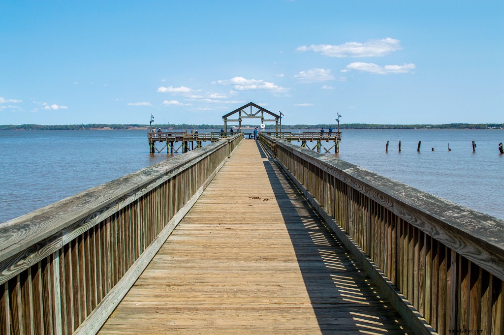 Explore Virginia’s Best Fall Foliage Hikes: Top 10 Scenic Trails