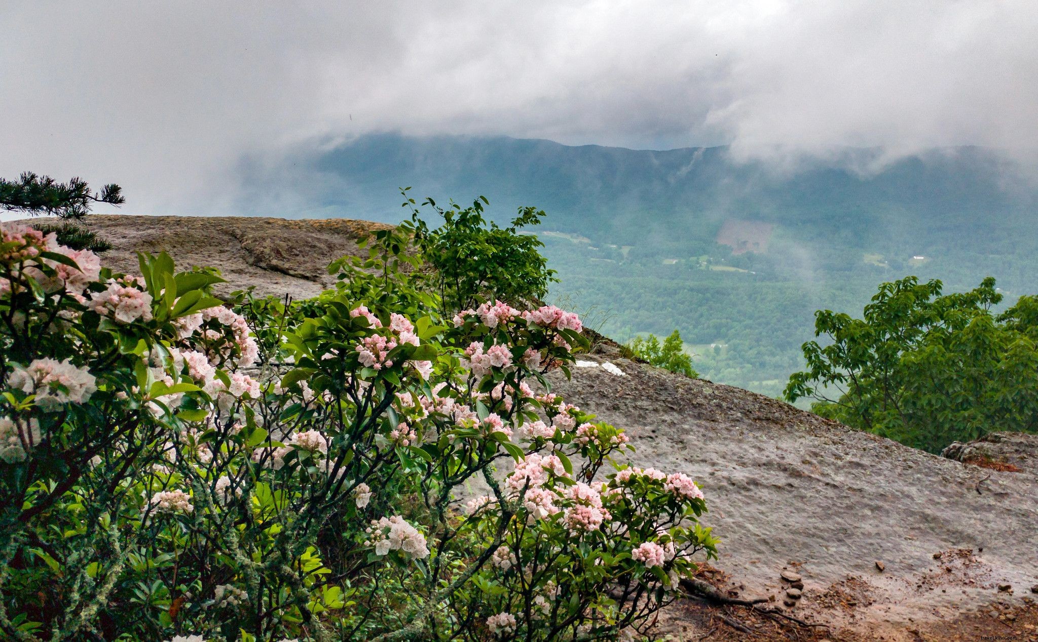 Explore Virginia’s Best Fall Foliage Hikes: Top 10 Scenic Trails