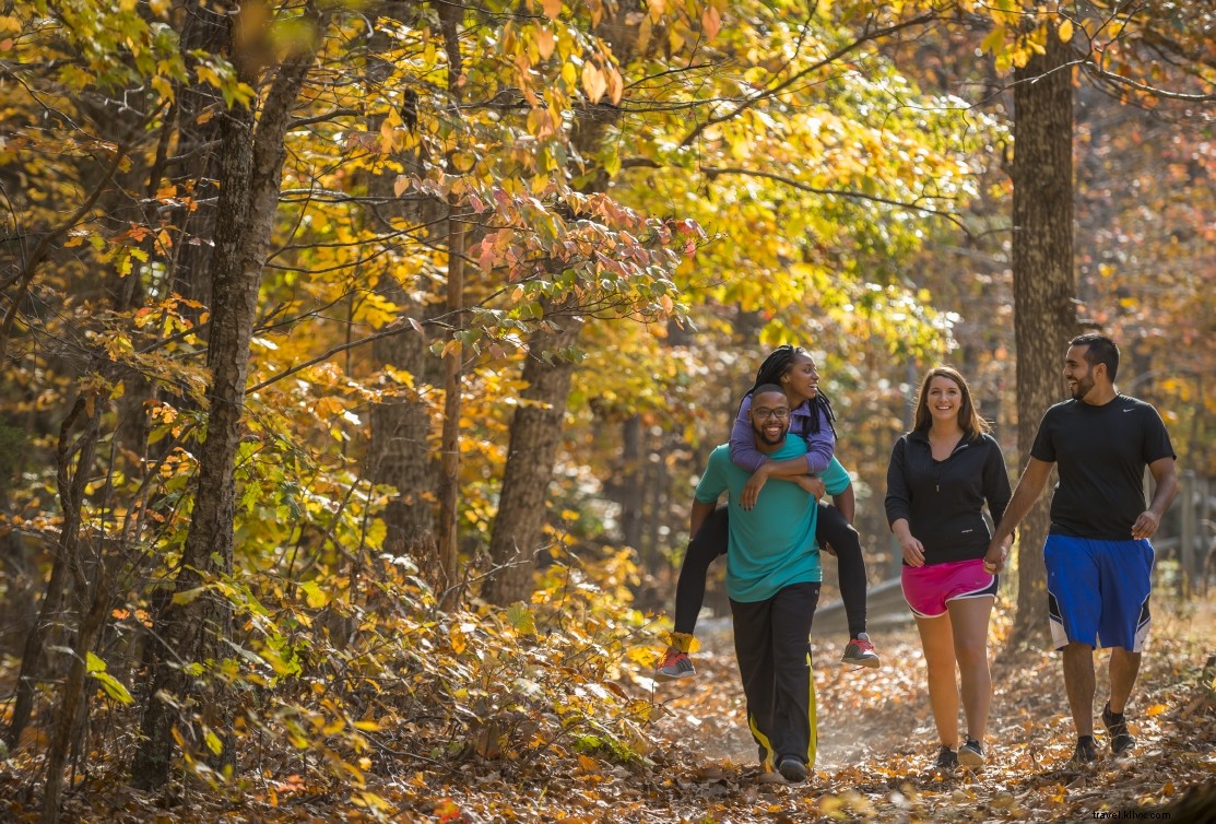 Explore Virginia’s Best Fall Foliage Hikes: Top 10 Scenic Trails