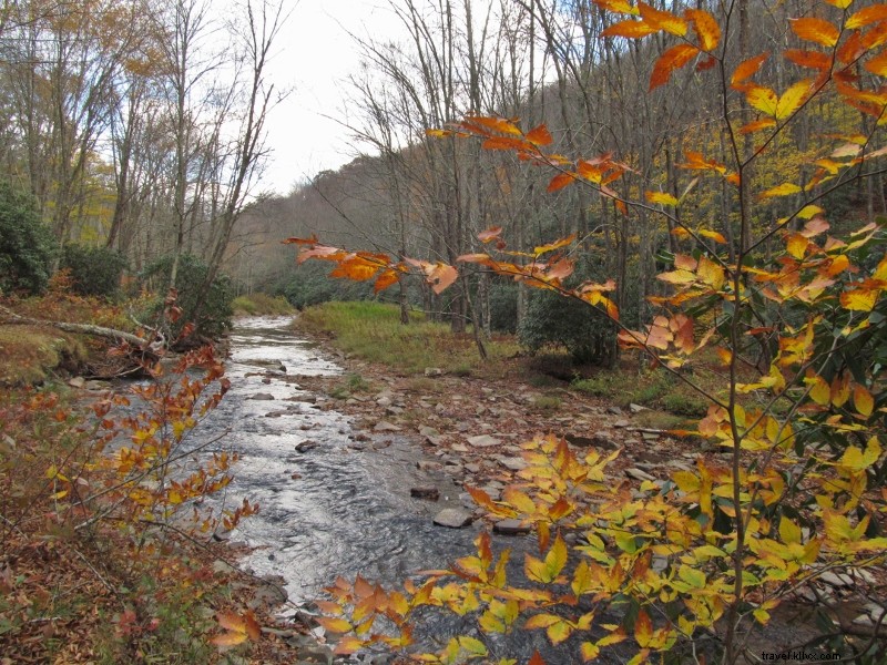 Uncover Virginia s Hidden Outdoor Gems: Lesser-Known Trails, Waterfalls, and Adventures