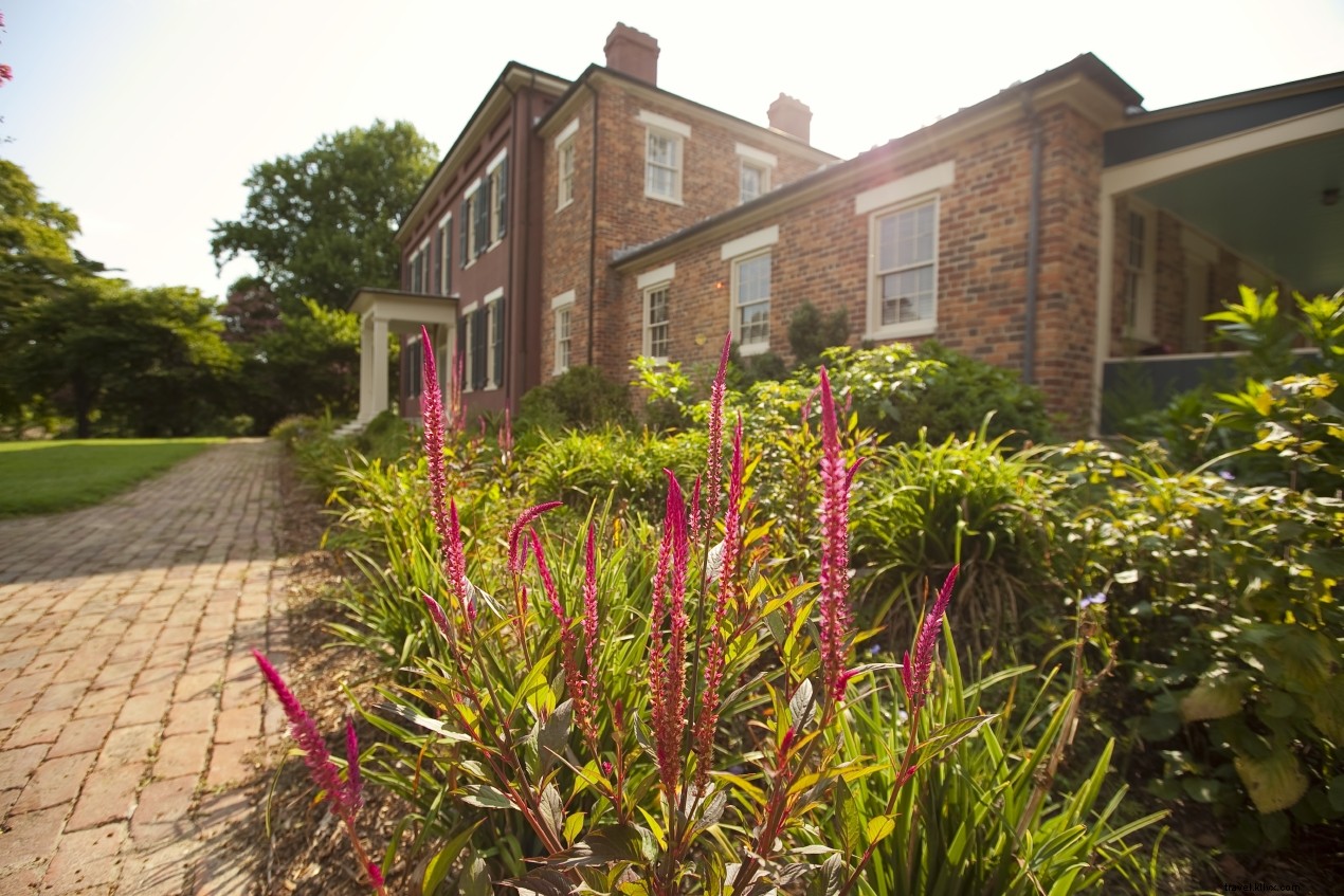 8 Romantic Campsites in Virginia for Couples: Scenic Getaways