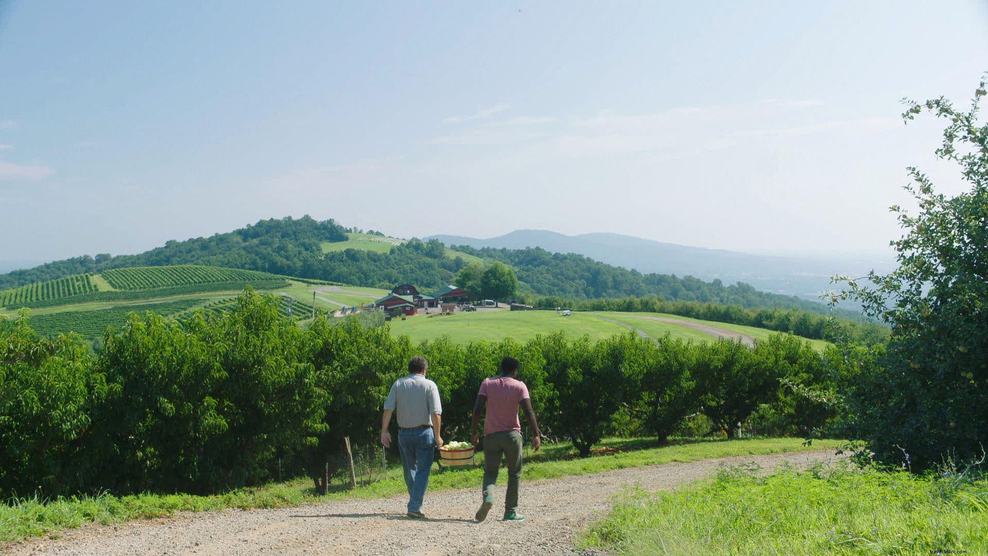 8 Romantic Campsites in Virginia for Couples: Scenic Getaways