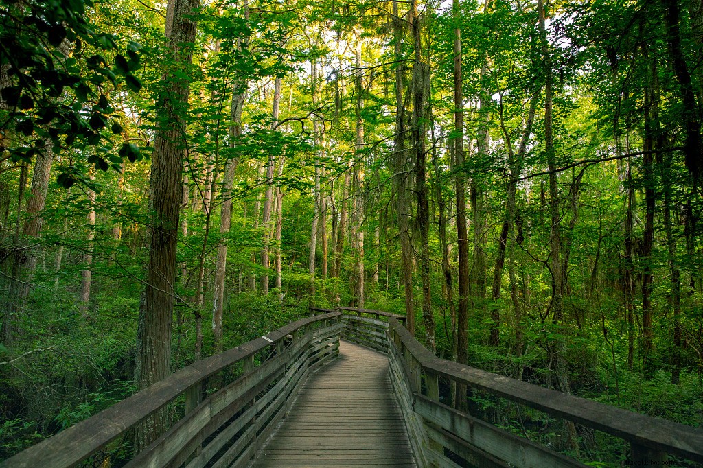 8 Romantic Campsites in Virginia for Couples: Scenic Getaways