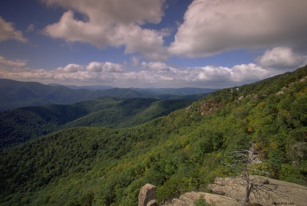 Top 10 Epic 2-3 Day Backpacking Trips on Virginia s Appalachian Trail