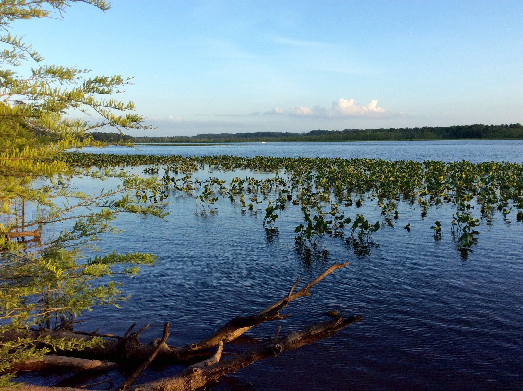10 Best Family-Friendly Float Trips on Virginia s Rivers and Lakes