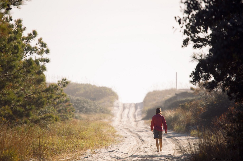 10 Hidden Gem Hikes in Virginia: Lesser-Known Trails with Stunning Payoffs