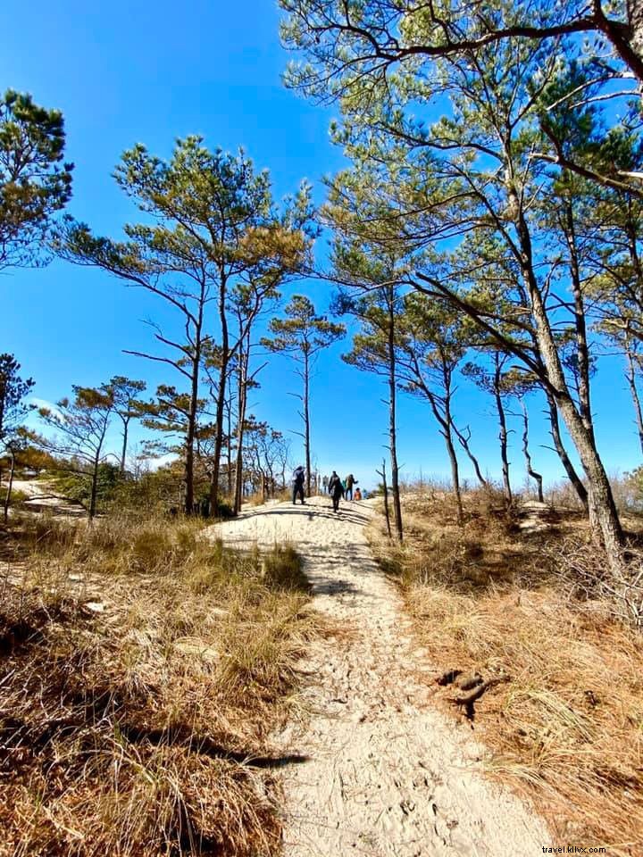 10 Hidden Gem Hikes in Virginia: Lesser-Known Trails with Stunning Payoffs