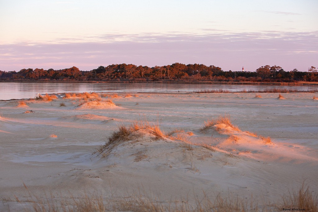 Top Virginia Hiking Trails for Spectacular Sunrises: Beat the Heat with Dawn Adventures